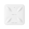 RG-RAP6260(H)-D Ruijie Reyee Wi-Fi 6 Directional Outdoor Access Point IP68 2.5G
